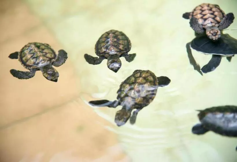 Ruiyas Sea View Condominium Portdickson