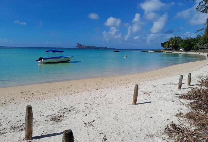 Suites Pereybere Inclue Petit Dejeuner