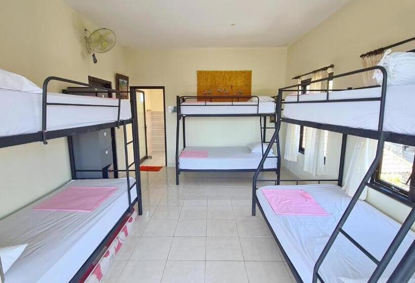 ユースホステル Bali Fab Dive Center