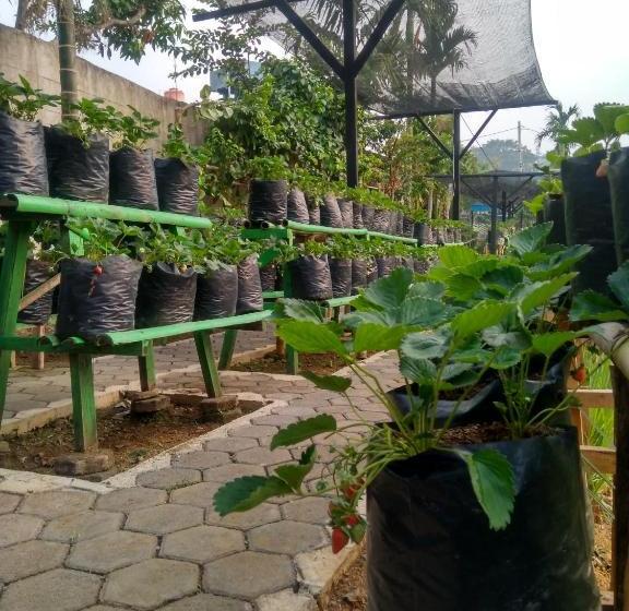 Hotell Aries Biru Resort