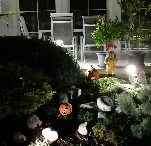 Bed and Breakfast Judit Vendégház