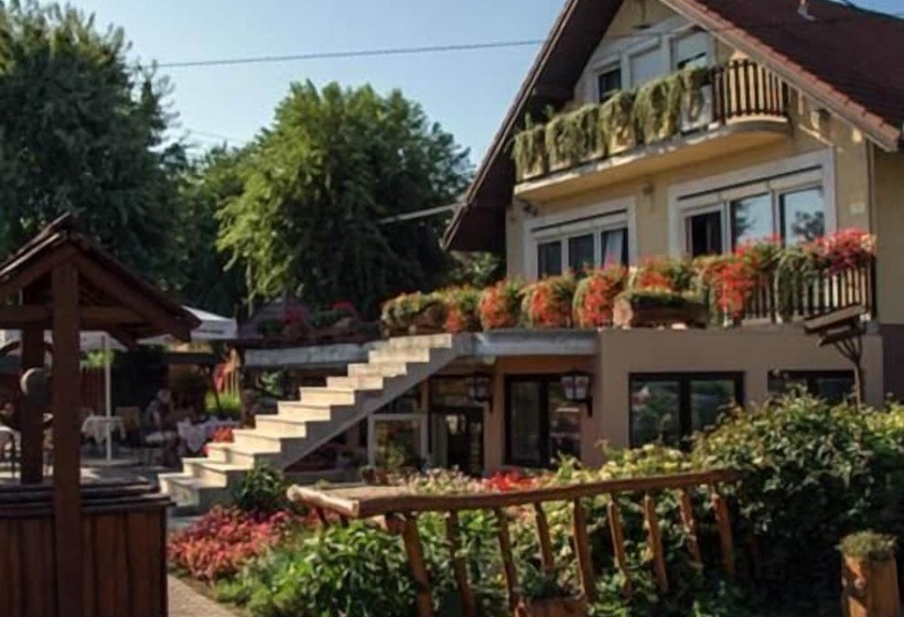 Aamiaismajoitus (B&B) Sarokhaz Panzio