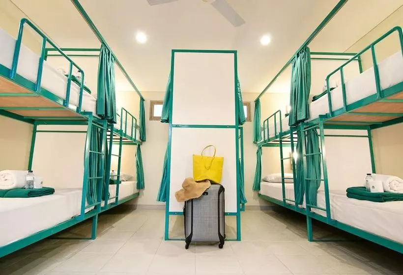 Bread & Jam Hostel