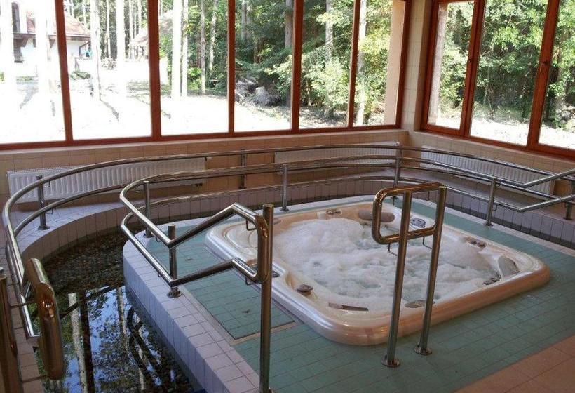 Fenyves Wellness Hotel Békéscsaba