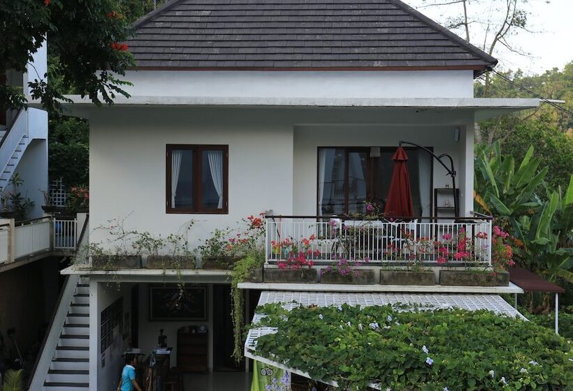 בית מלון כפרי Dewivilla