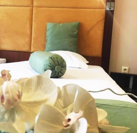 Hotell пансион роди