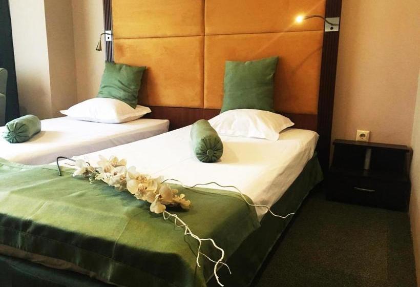 Hotell пансион роди