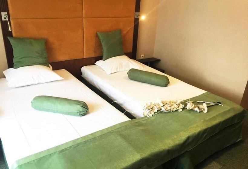 Hotell пансион роди