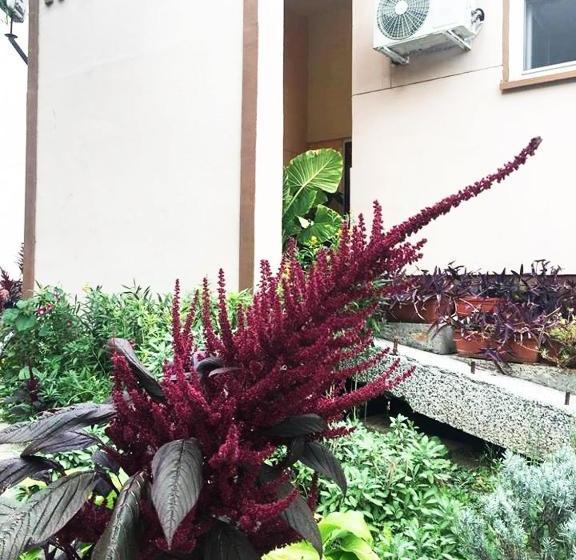 Hotell пансион роди