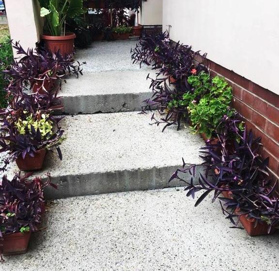 Hotell пансион роди