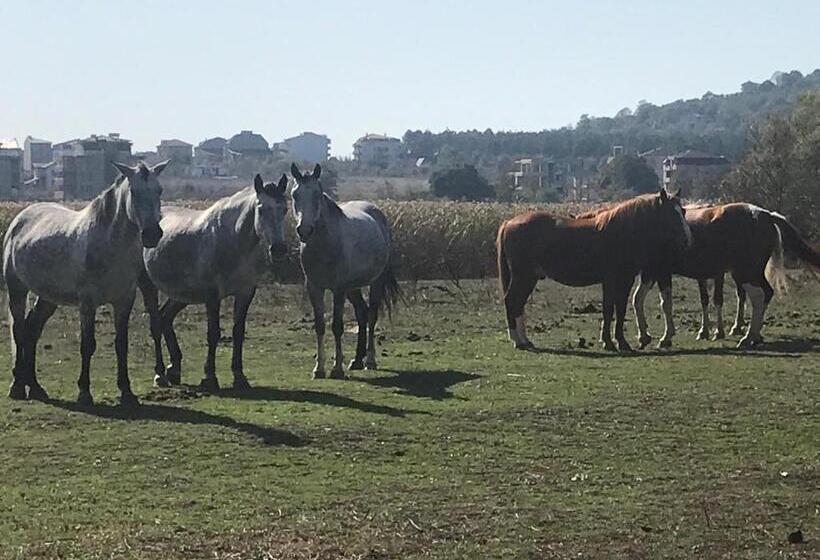 Apart Hotel Stamopolu Lux с изглед към морето