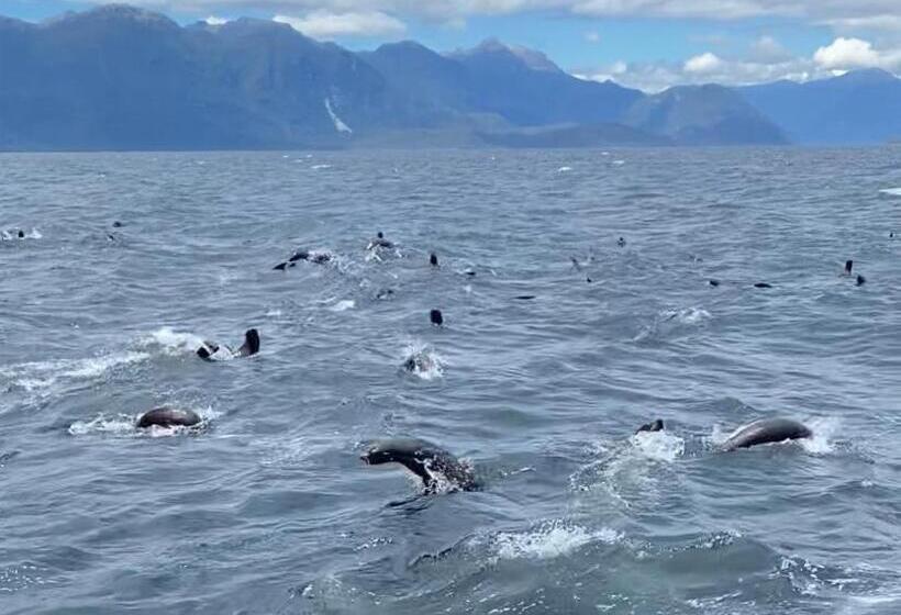 Pension Hostal Isla Magdalena