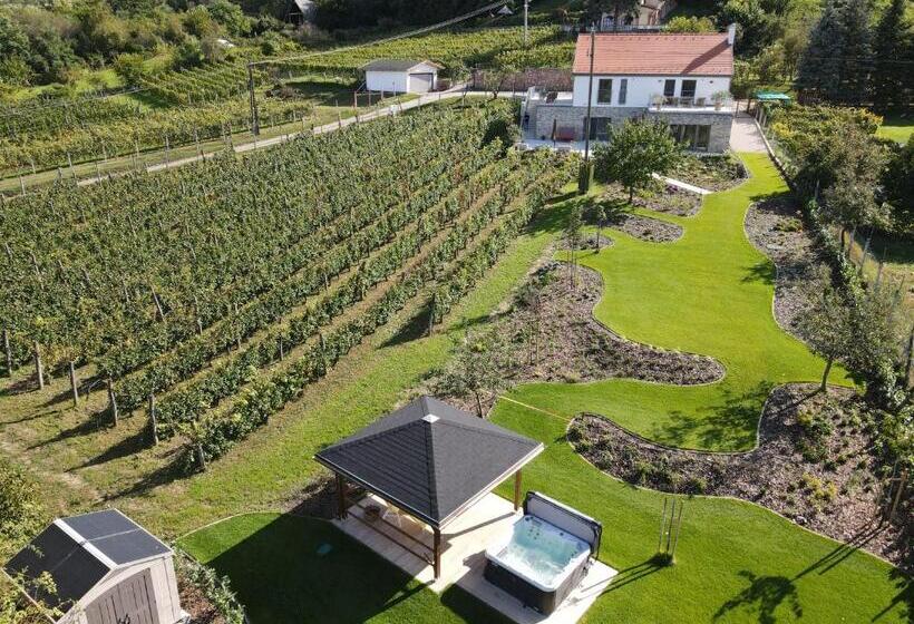 פנסיון Rábai Katalin Borászat és Vendégház