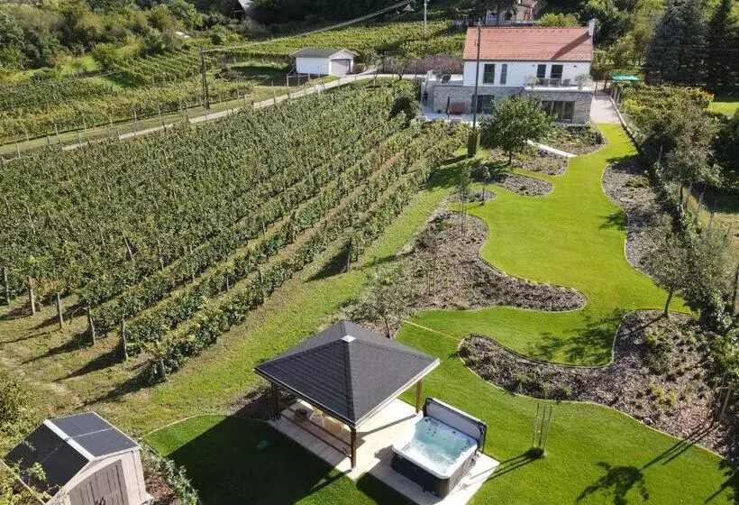 ペンション Rábai Katalin Borászat és Vendégház