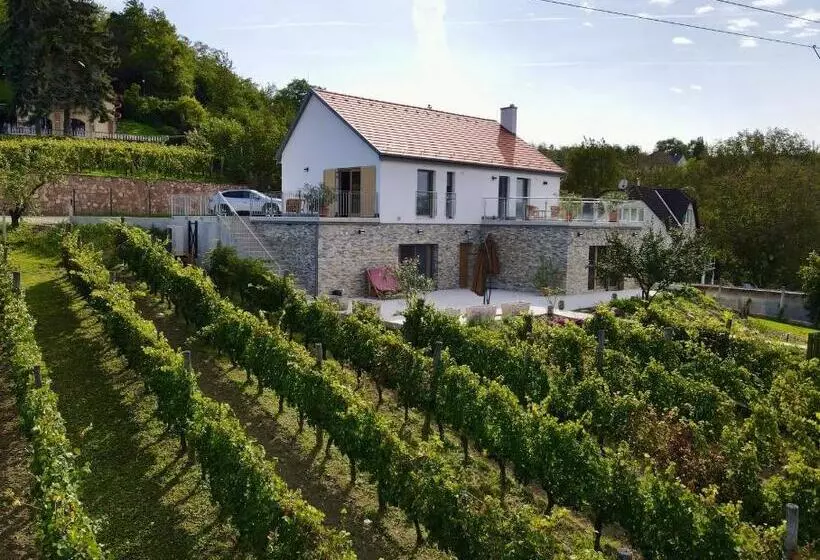 ペンション Rábai Katalin Borászat és Vendégház