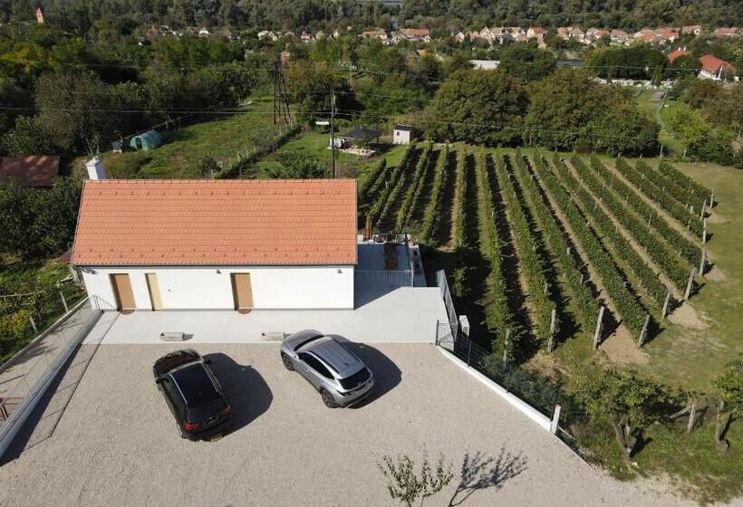 פנסיון Rábai Katalin Borászat és Vendégház