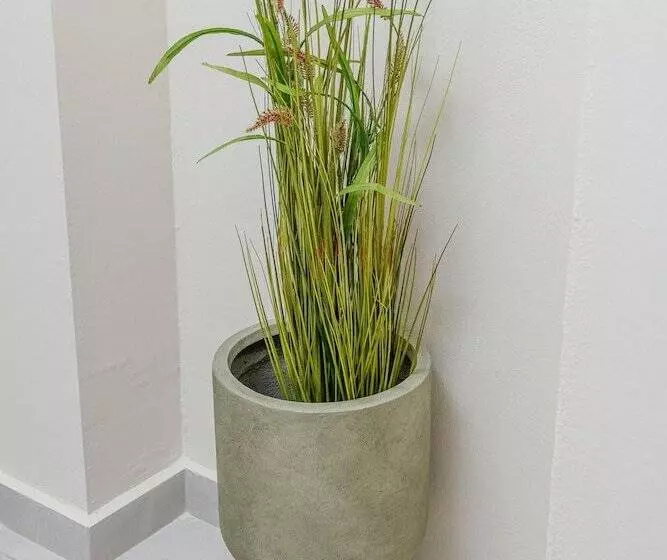 Achatis Apartments With Sea View