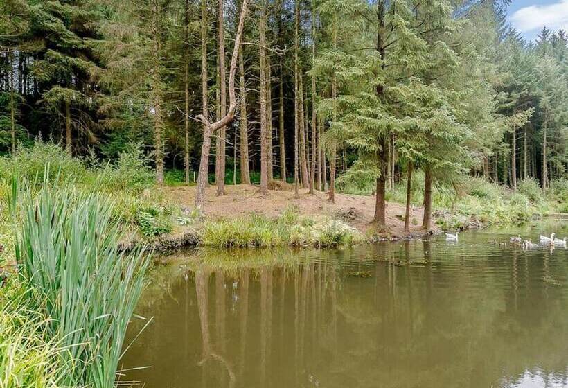 호텔 Remarkable 3 Bed Lodge In Honiton