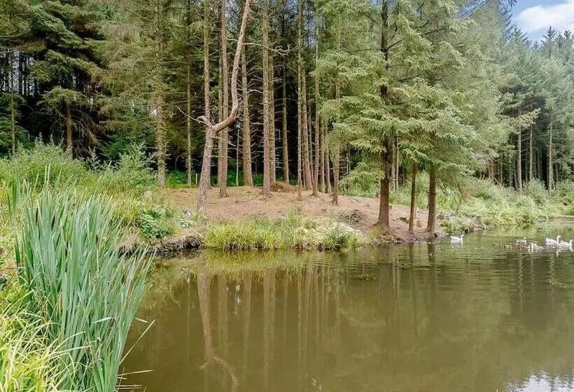 Hotelli Remarkable 3 Bed Lodge In Honiton