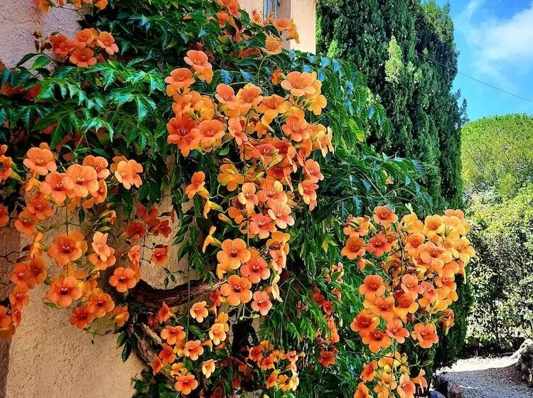 La Villa Roméo   Piscine & Spa