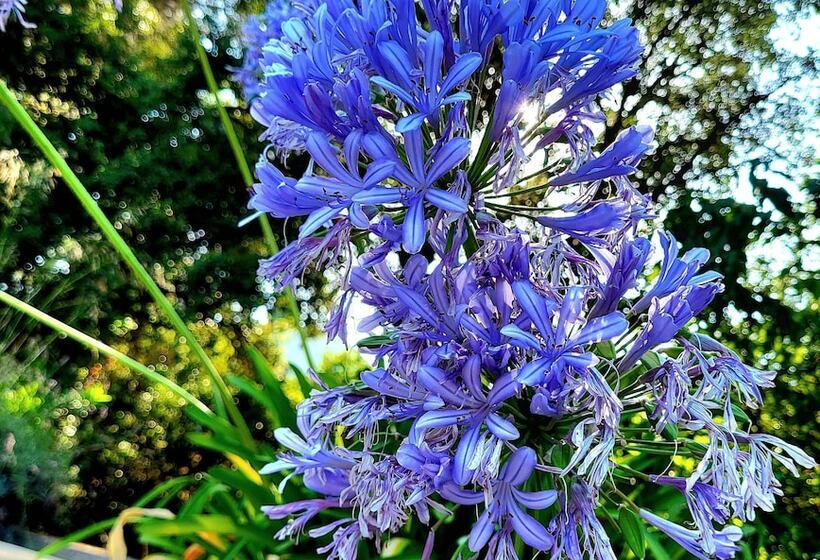 La Villa Roméo   Piscine & Spa