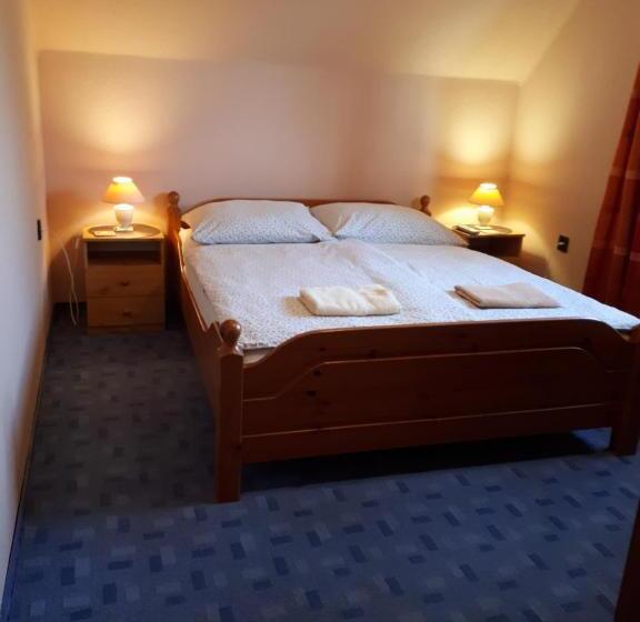 פנסיון Magdaléna Panzio