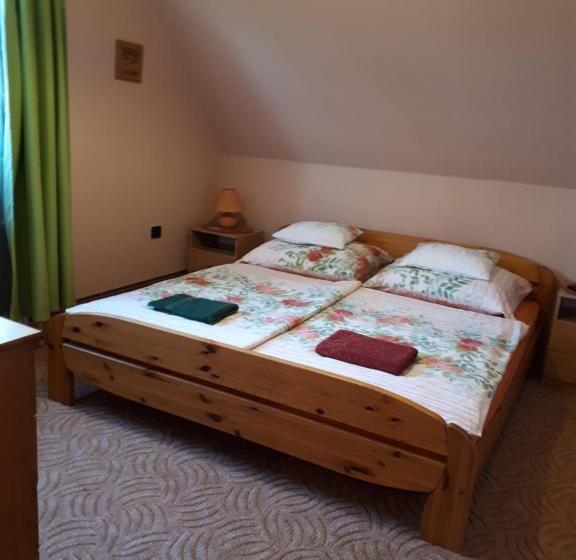 פנסיון Magdaléna Panzio