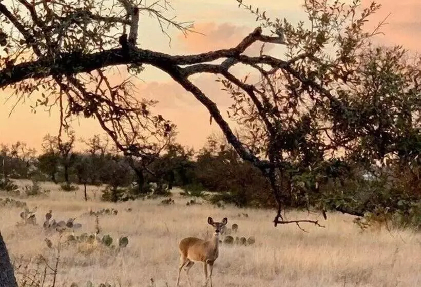 Bonny Bluebonnets Cottage With Stunning Hill Country Views