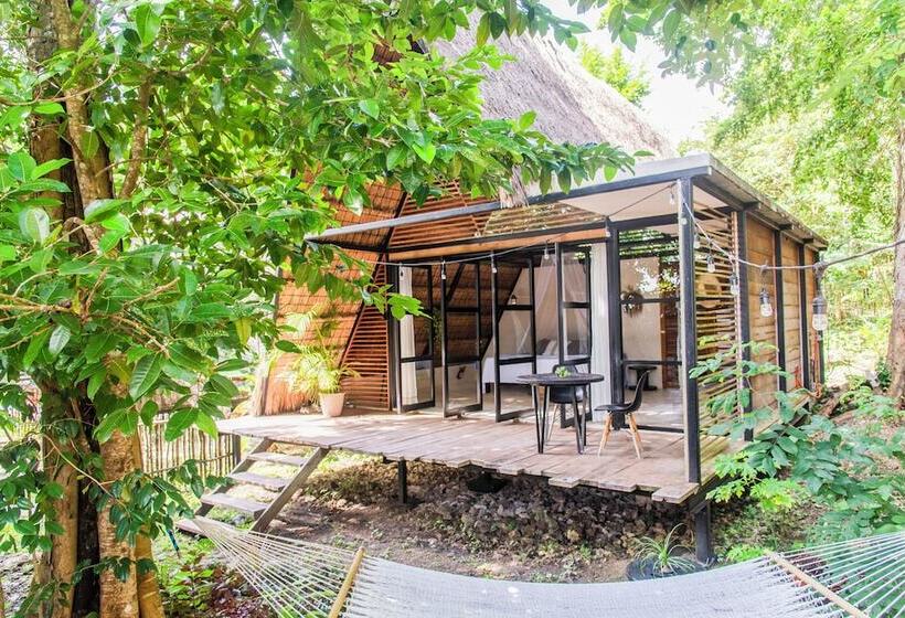 فندق Azul Nomeolvides