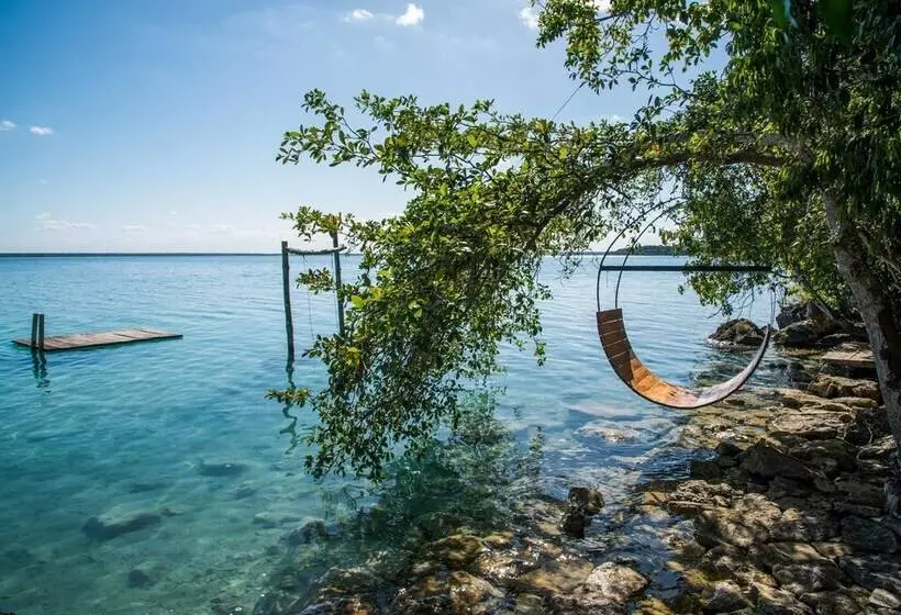 Hotelli Azul Nomeolvides