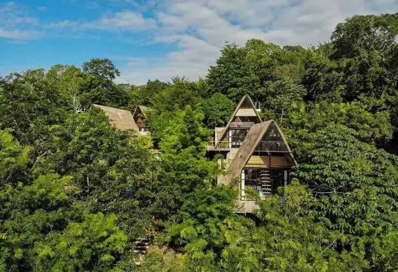 Hotelli Azul Nomeolvides