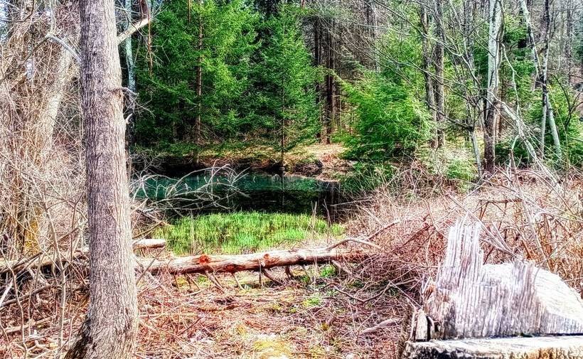 乡村酒店 The Artist Studio Loft Inc