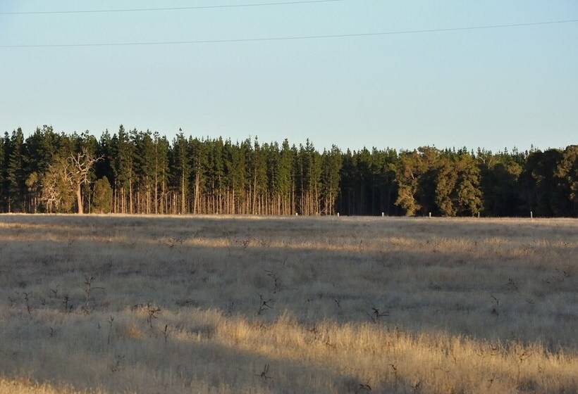 فندق ريفى Wilga Farm Stay