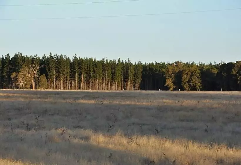 田舎風ホテル Wilga Farm Stay