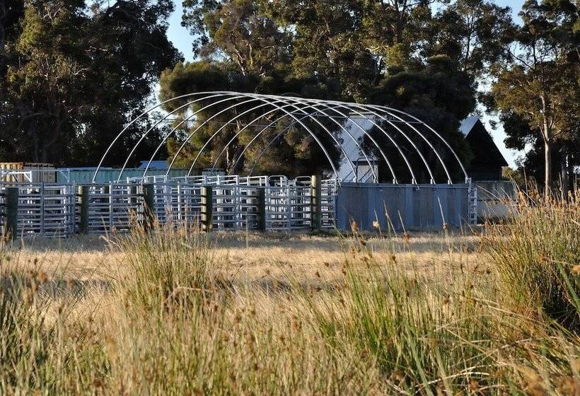 فندق ريفى Wilga Farm Stay