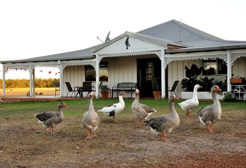 فندق ريفى Wilga Farm Stay