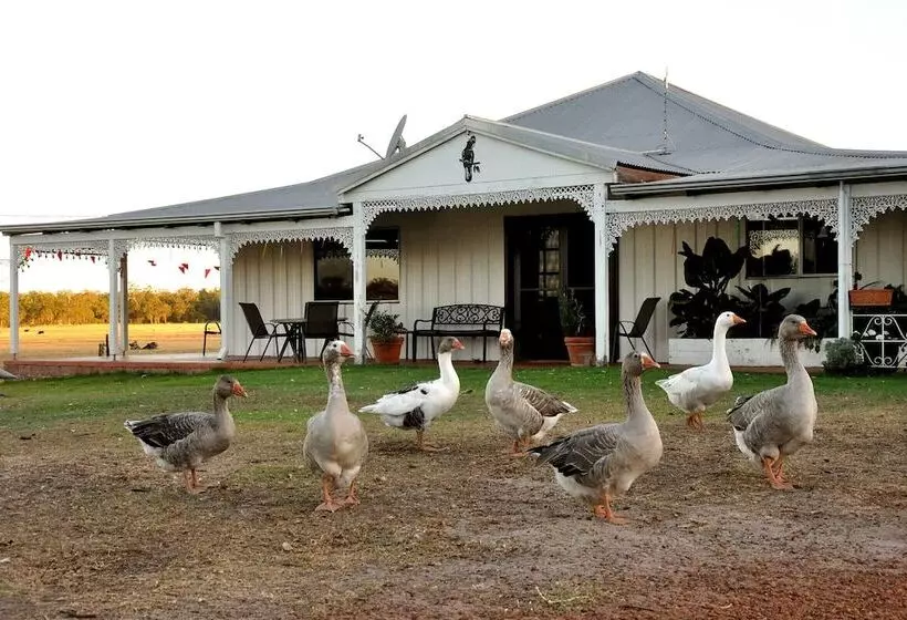 田舎風ホテル Wilga Farm Stay