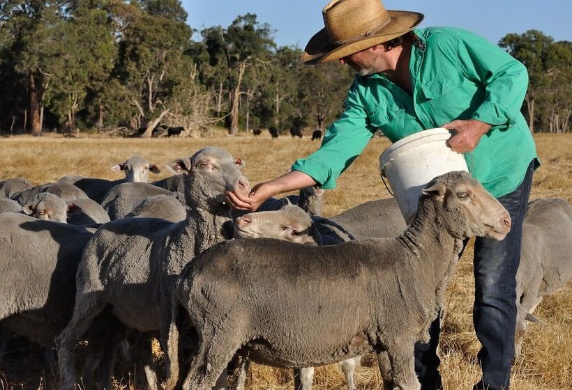 فندق ريفى Wilga Farm Stay