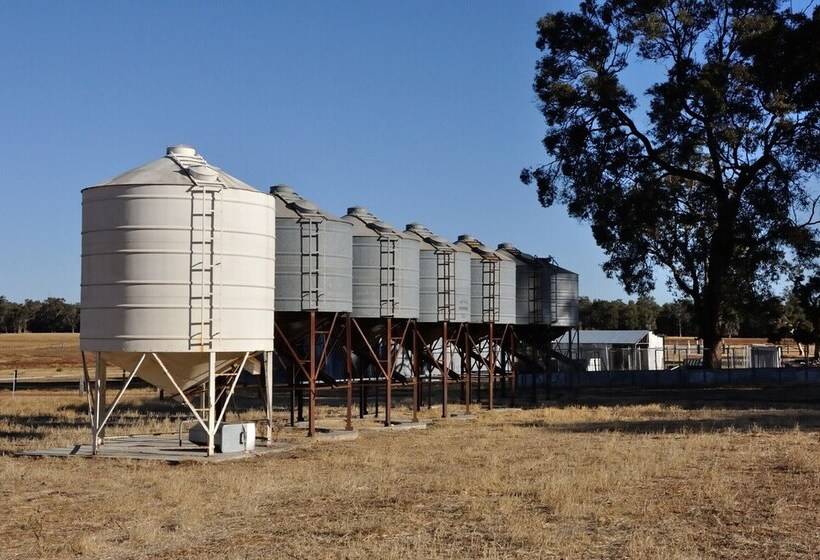 فندق ريفى Wilga Farm Stay