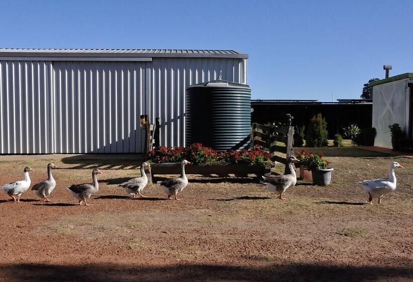 فندق ريفى Wilga Farm Stay