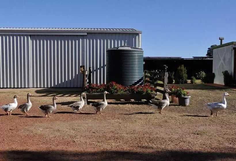 田舎風ホテル Wilga Farm Stay