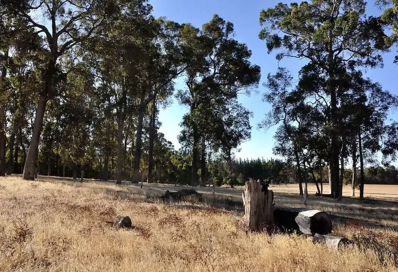 田舎風ホテル Wilga Farm Stay