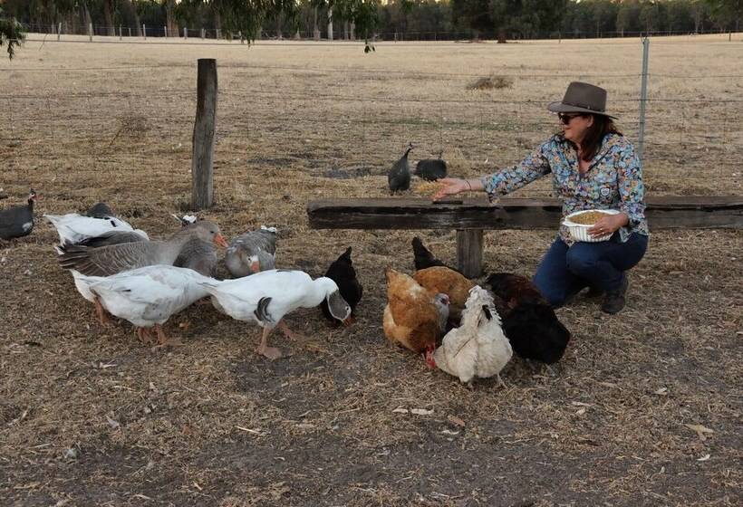 فندق ريفى Wilga Farm Stay