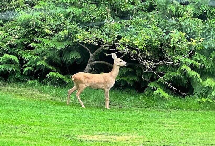 بنسيون Maryhill House
