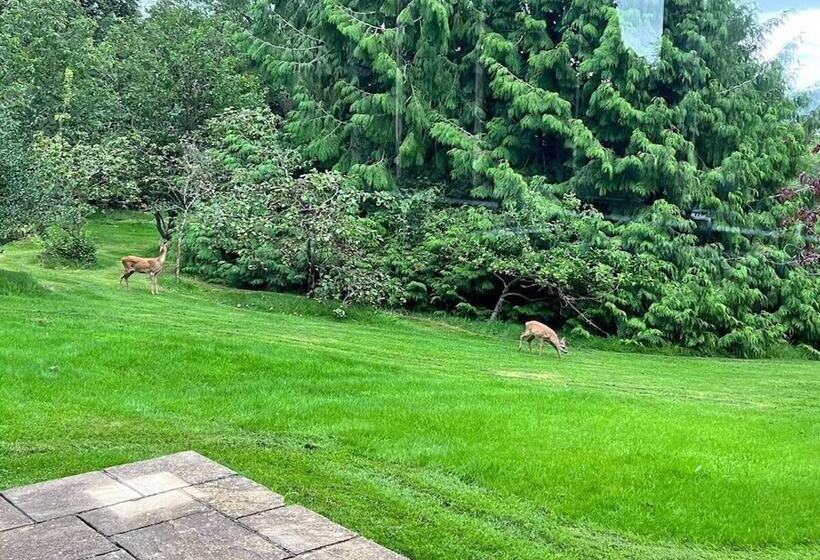 بنسيون Maryhill House