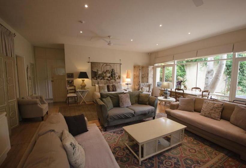 Athelney Cottage Bed And Breakfast