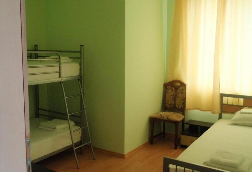 בית מלון כפרי Ankor