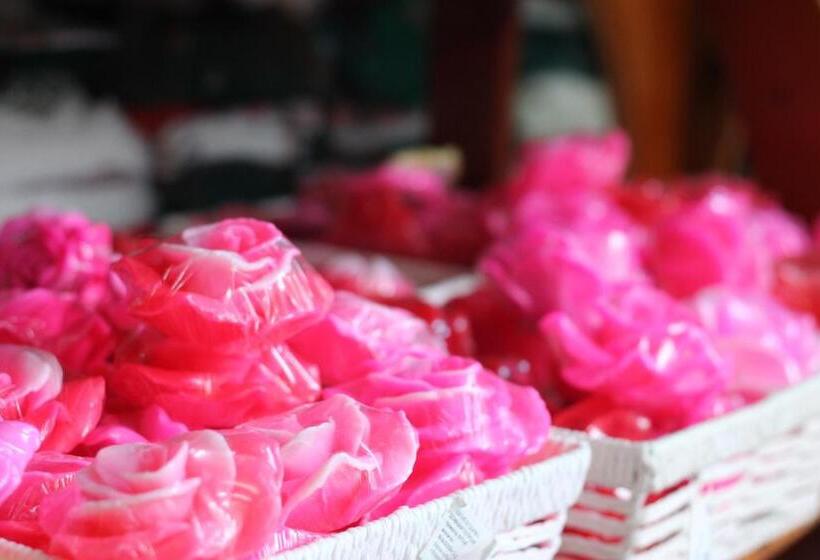 בית מלון כפרי Diamond