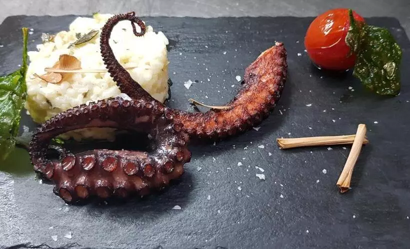 Hotelli Minaliat Vek
