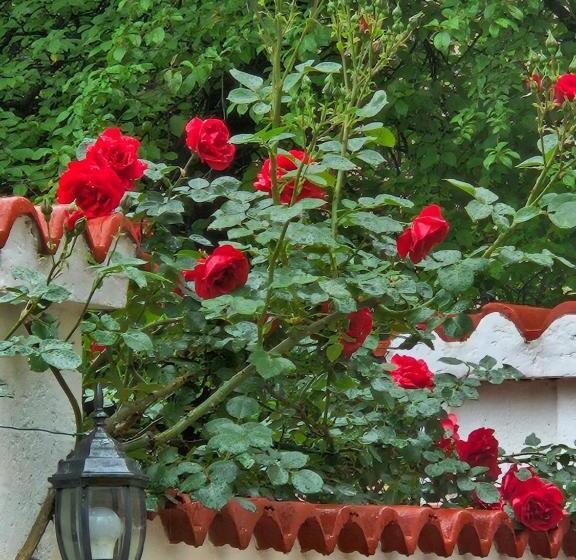 酒店 Priyateli   Friends